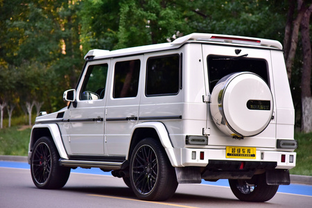 泰安二手奔驰G级 2013款 G 500